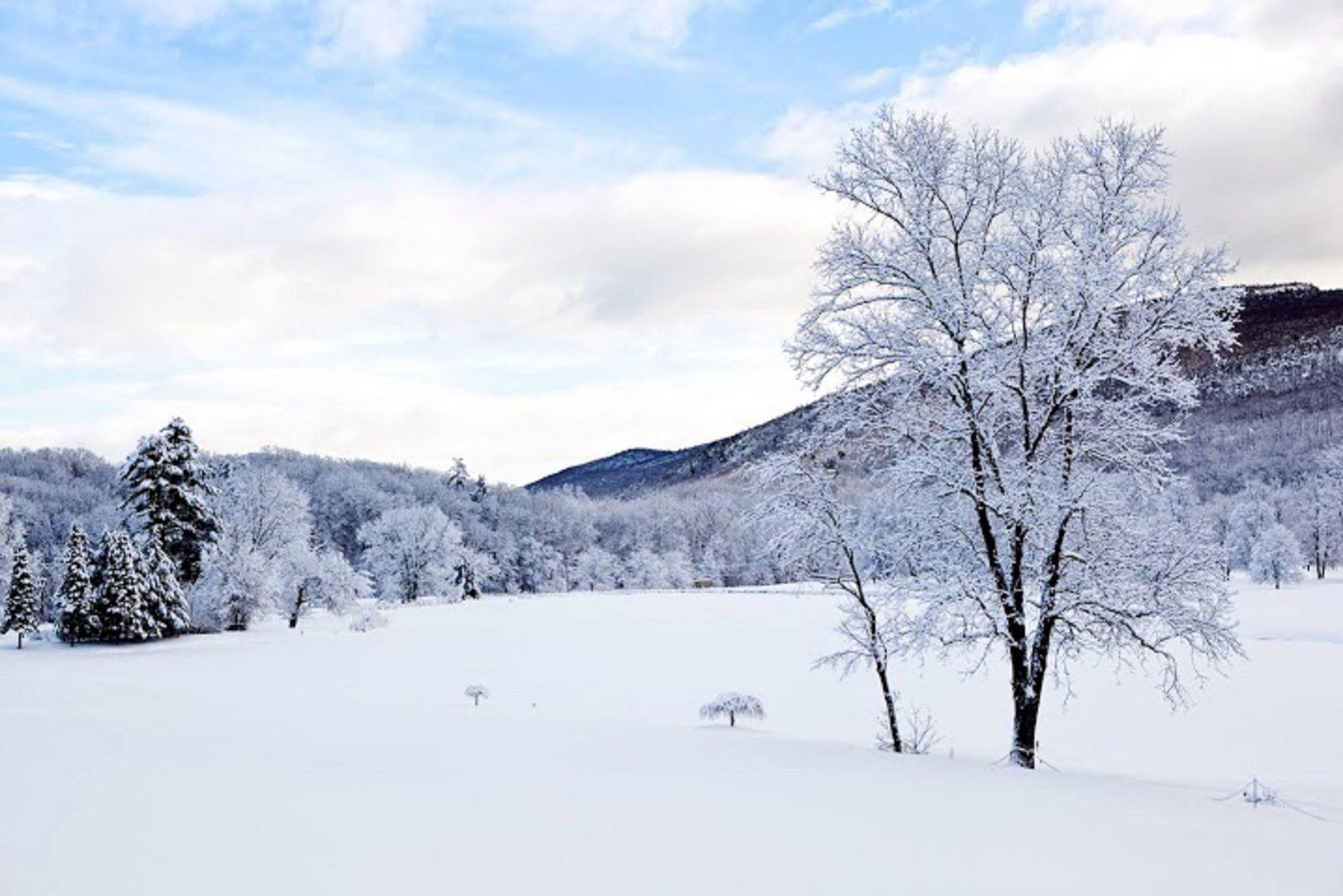 Honors Haven Retreat & Conference Hotel Ellenville ภายนอก รูปภาพ